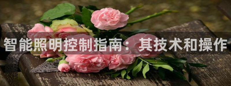 云顶国际在线登录