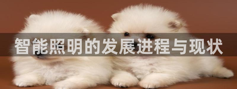 云顶国际平台提款受阻