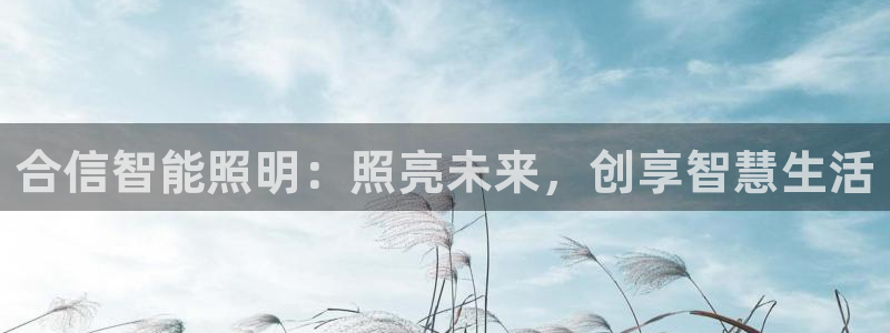 云顶国际集团发展有限公司国内项目总经理