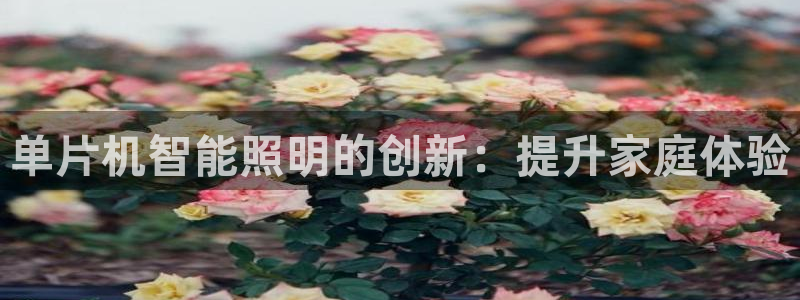 云顶国际提现多久到账