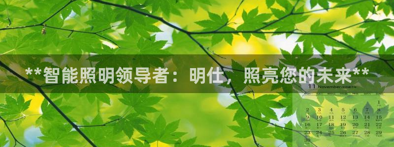 云顶国际集团开发有限公司