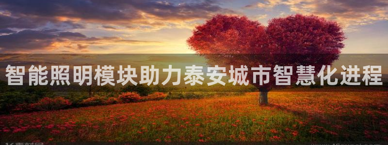 云顶国际酒店老板叫什么