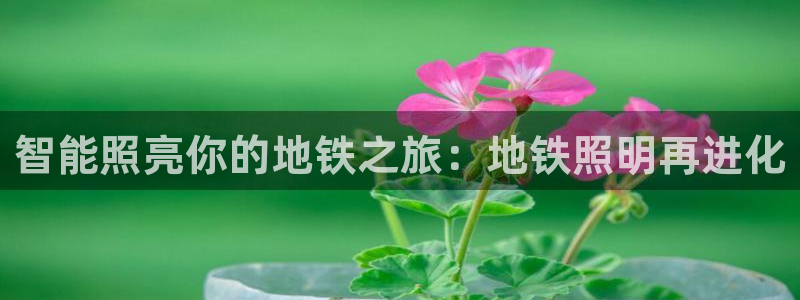 云顶国际要怎么注册