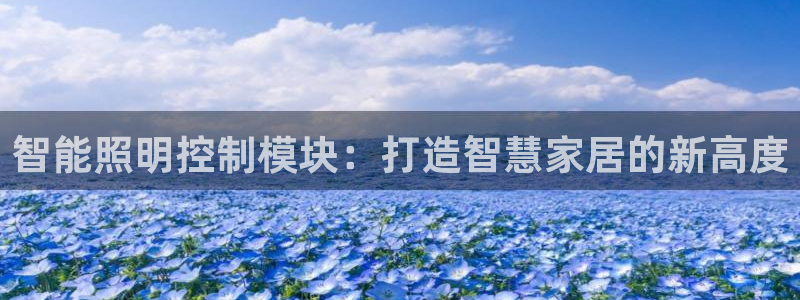 云顶国际提现不到账什么原因