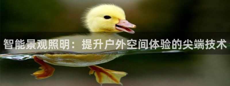云顶集团公司官网