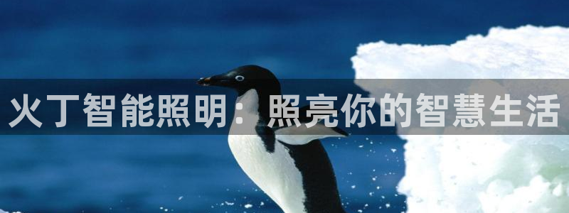 云顶集团游戏app8293
