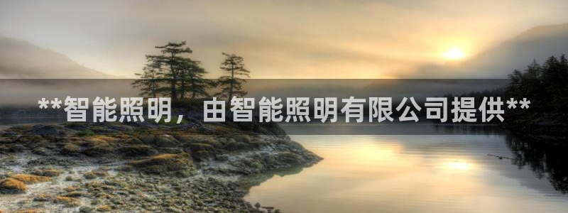 云顶控股集团有限公司