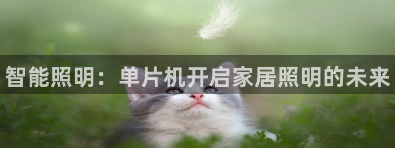 云顶 官网