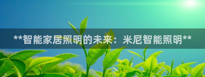云顶国际什么时候能提现