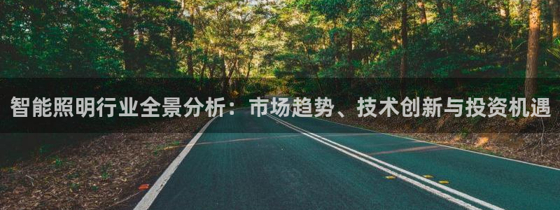 云顶集团公司简介图片