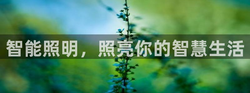 云顶集团游戏app8293