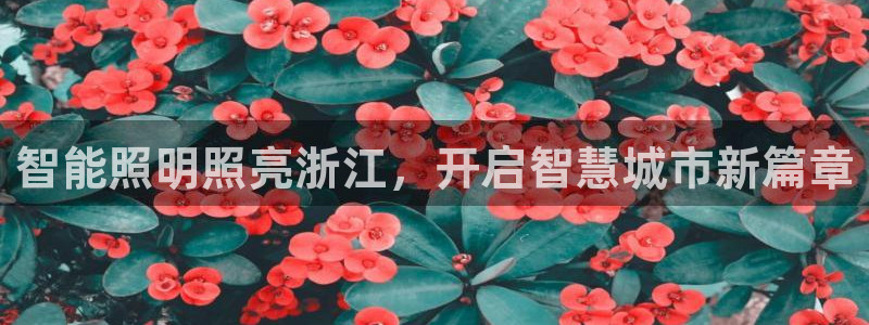 云顶国际物流官网网址