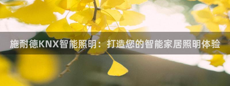 云顶国际软件