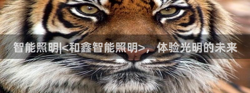云顶国际平台是黑平台吗知乎
