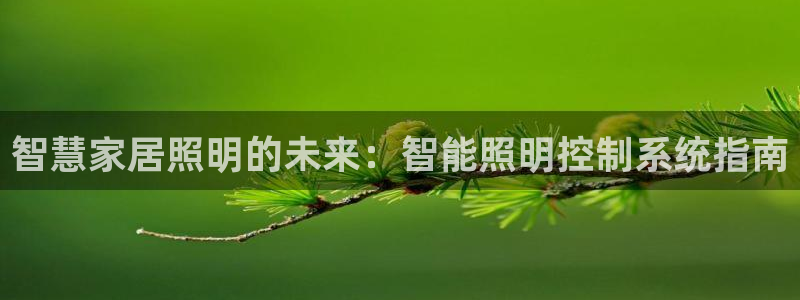 云顶集团介绍