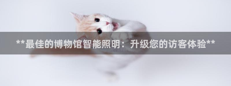 云顶国际软装公司怎么样