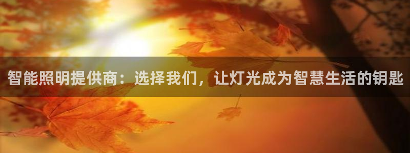 云顶国际会所怎么样：智能照明提供商：选择