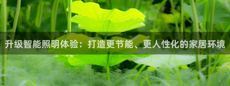 登录云顶集团的网站：升级智能照明体验：打