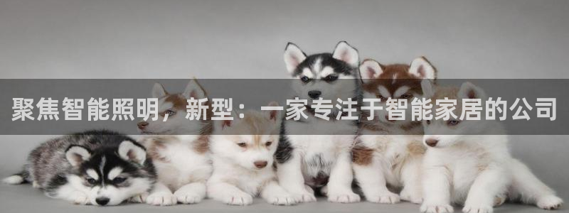 云顶dl