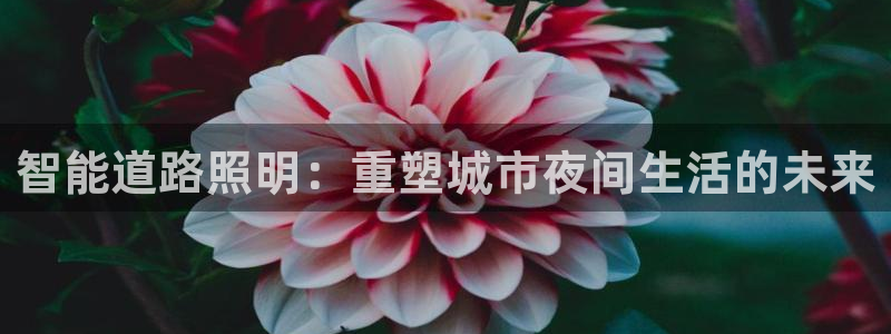 云顶集团 林国泰
