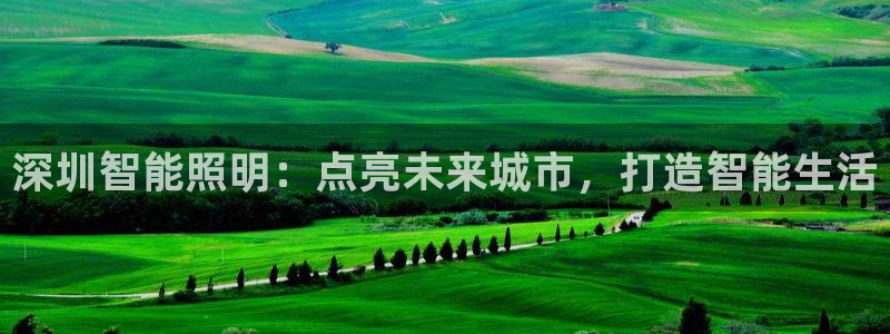 云顶国际俱乐部 淮北：深圳智能照明：点亮