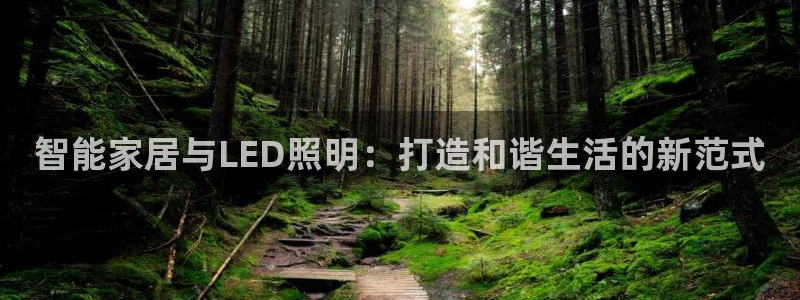 云顶国际公馆怎么样